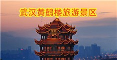 干吧免费视频