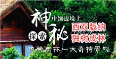 美人逼